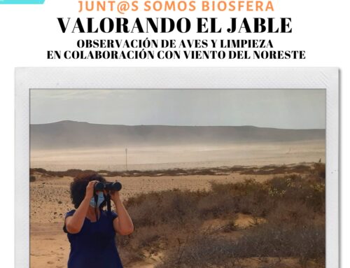 El Cabildo organiza una acción de voluntariado para potenciar el enclave natural de El Jable