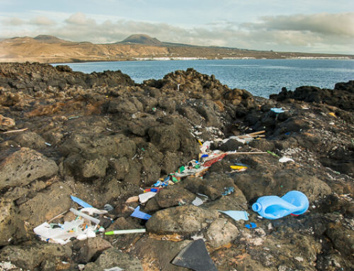 La comunidad científica emite una nueva ‘Declaración de Lanzarote’ sobre la polución por plásticos y la envía a la ONU