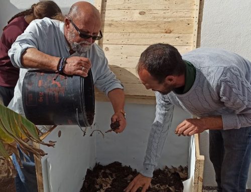 El Cabildo de Lanzarote inicia una experiencia piloto para instalar vermicomposteras en los centros educativos con ayuda del alumnado