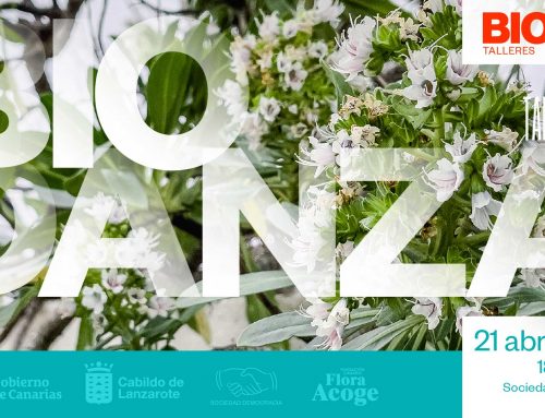 Un taller de biodanza y una charla sobre la musaraña canaria, próximas actividades organizadas por la Reserva de la Biosfera de Lanzarote para conmemorar su 30 aniversario