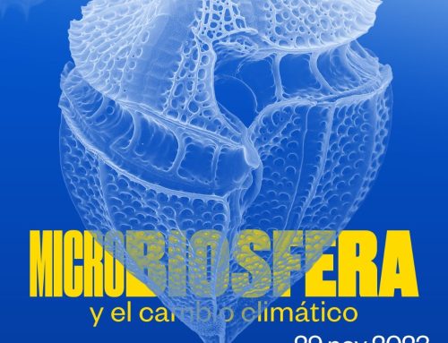 La Reserva de la Biosfera aborda el impacto ambiental de la proliferación de microalgas