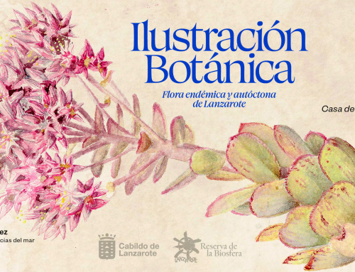 La Reserva de la Biosfera organiza un taller de ilustración botánica