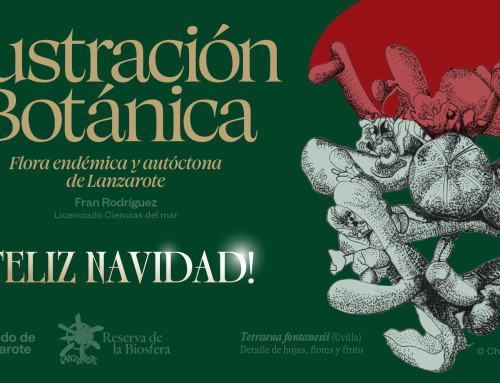 El taller de ilustración botánica de la Reserva de la Biosfera cosecha un sobresaliente