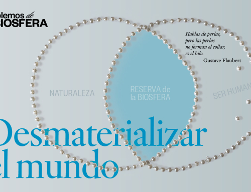 Desmaterializar el mundo