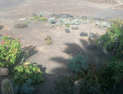 La Reserva de la Biosfera promueve el aprendizaje agrícola en las escuelas unitarias con el proyecto Manos al huerto