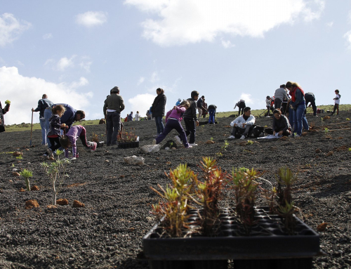 El Cabildo de Lanzarote concede subvenciones a proyectos alineados con los objetivos de la Reserva de la Biosfera