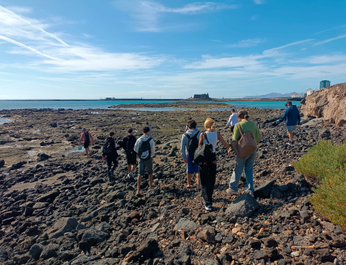 La Reserva de la Biosfera ofrece a institutos y asociaciones paseos interpretados por el intermareal