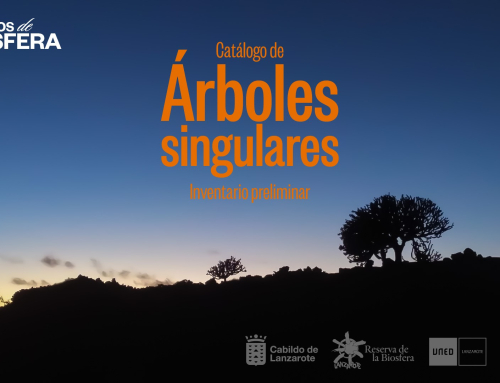 Inventario preliminar de árboles de Lanzarote