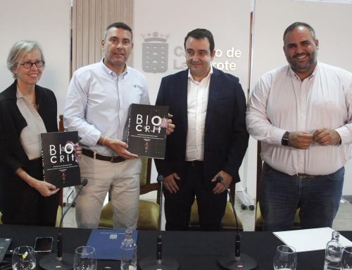 El Cabildo de Lanzarote propone al empresariado medidas para la mejora estética de las zonas industriales