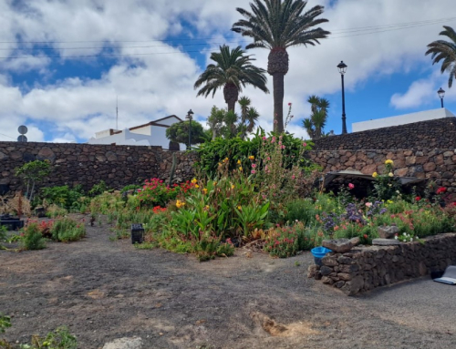 La Reserva de la Biosfera visibiliza el valor de las escuelas rurales de Lanzarote a través del documental “Manos al Huerto”